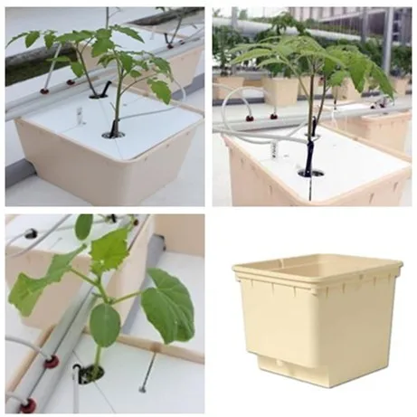 Soilless Cultivation Indoor Hydroponic Seeding Dutch Flower Bucket Dutch barrels HL planting barrels for Blueberries/pepper
