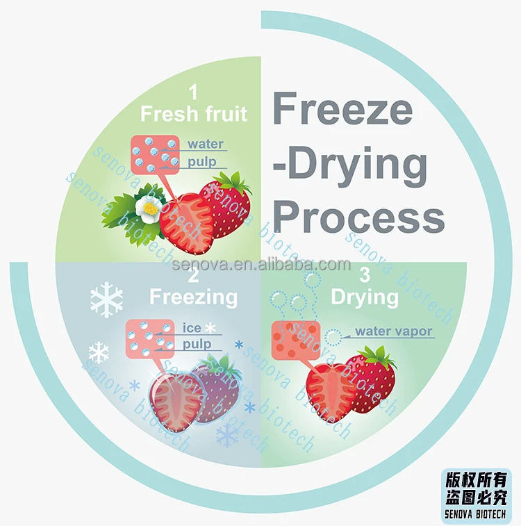 Strawberry-F-1-SY (2)