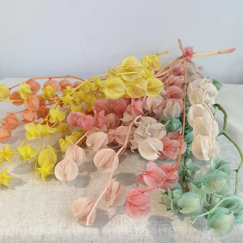 wholesale colorful immortal bell fruit real natural preserved bell flowers for floral arrangement