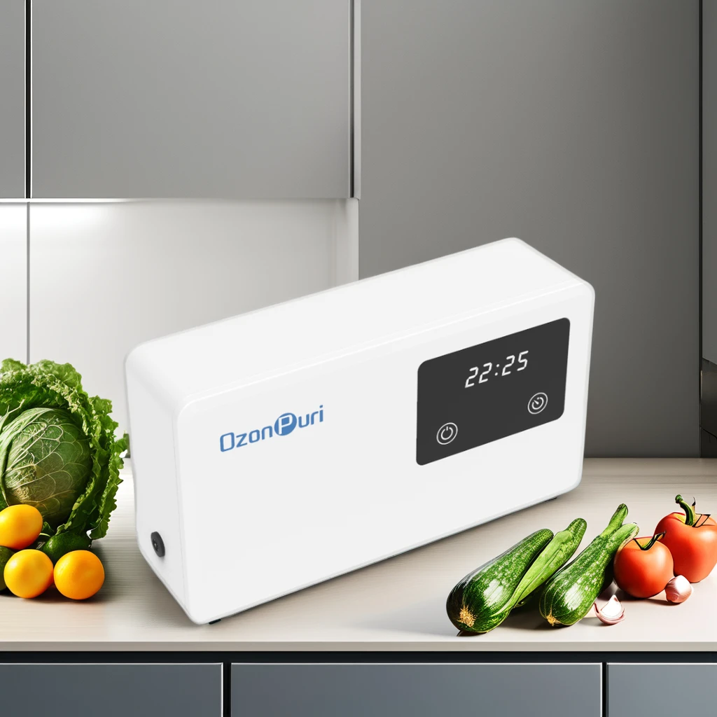 Wholesale Mini DC12v Ozone Generator Water Ozonizer Ozonator for Vegetable Washers Best Price