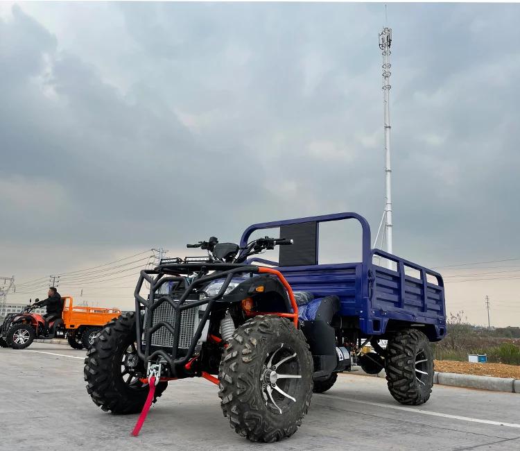 New Design Motor 4X4 Moto Gas Differential Gear Cuatrimoto China Transport Trailer Farm Vehicle Atv