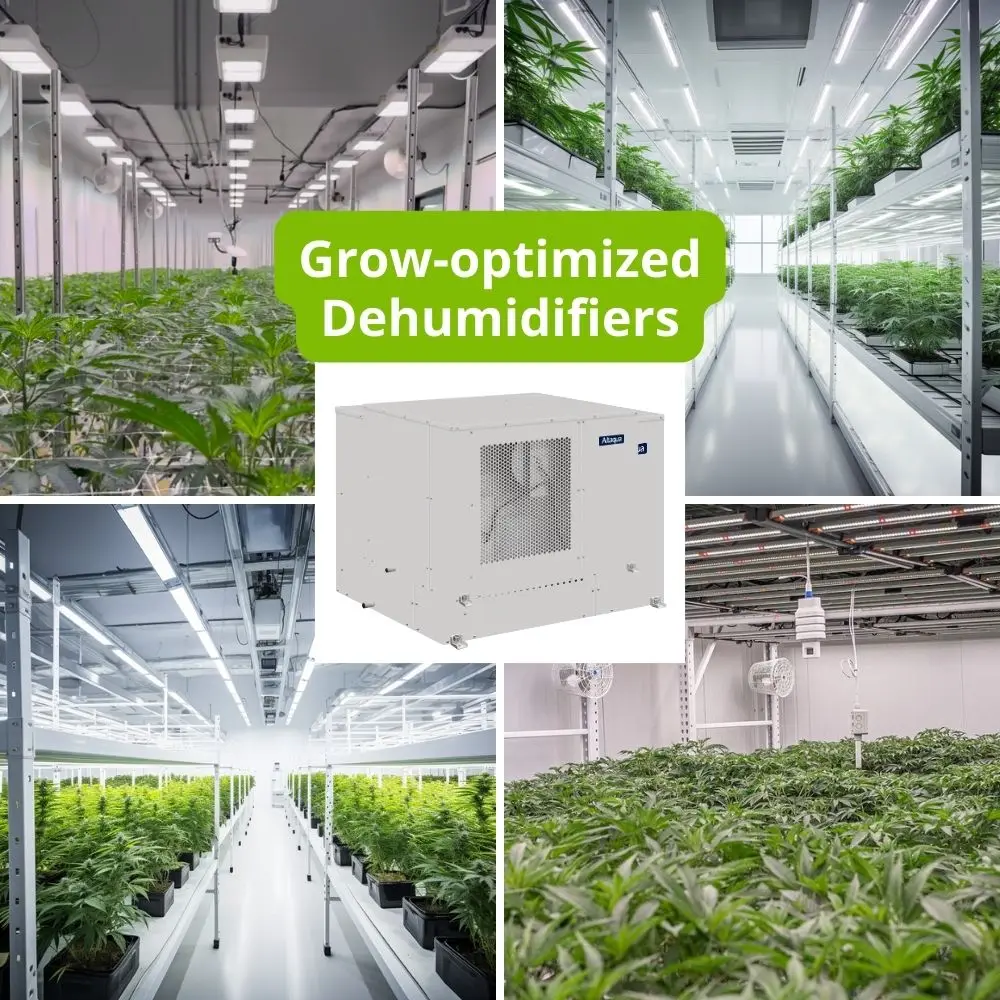 Hemp Greenhouse Dehumidifier Indoor Cultivation Refrigerant Dehumidifier Greenhouse