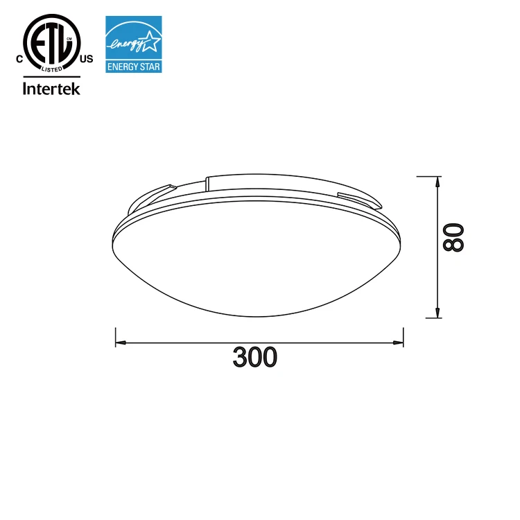 Cetl/Energy Star Led Light Surface Mounted Downlight  Panel Light  20W Flush Mount Light