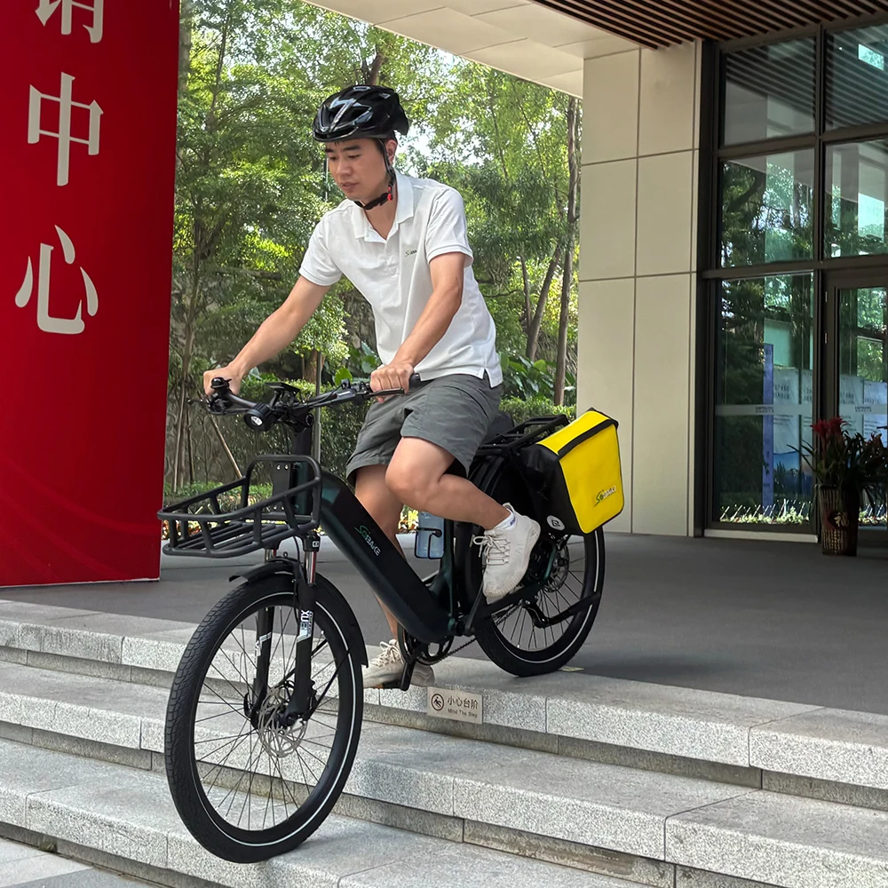 Customized Torque Sensor Ebike 48V15Ah 750W 500W 250W 25km/h Full Suspension Electric City Bike Bicycle for Ladies Student