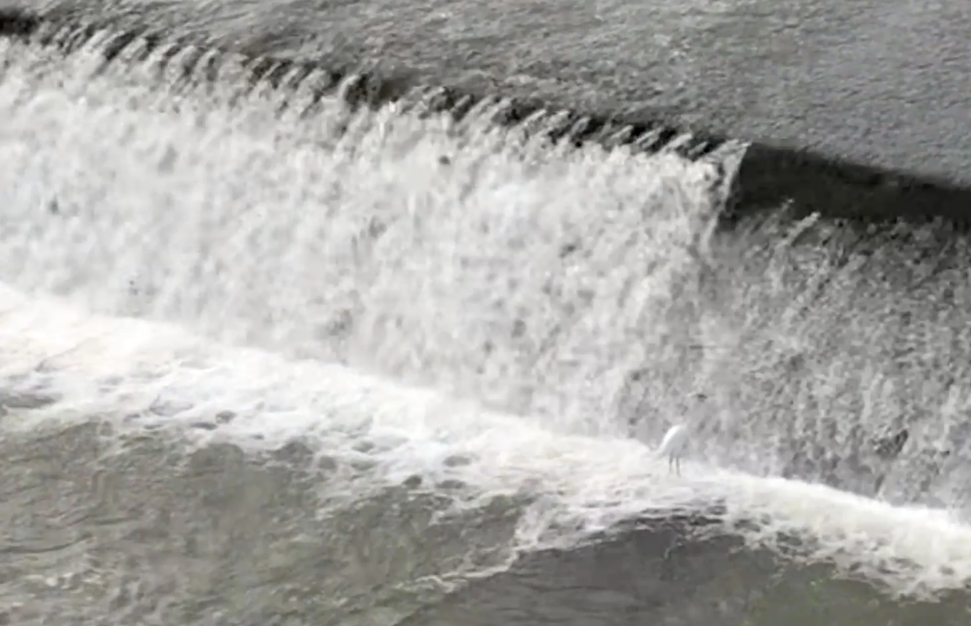 170% higher cell permeability 12L Japanese rich alkaline hydrogen water