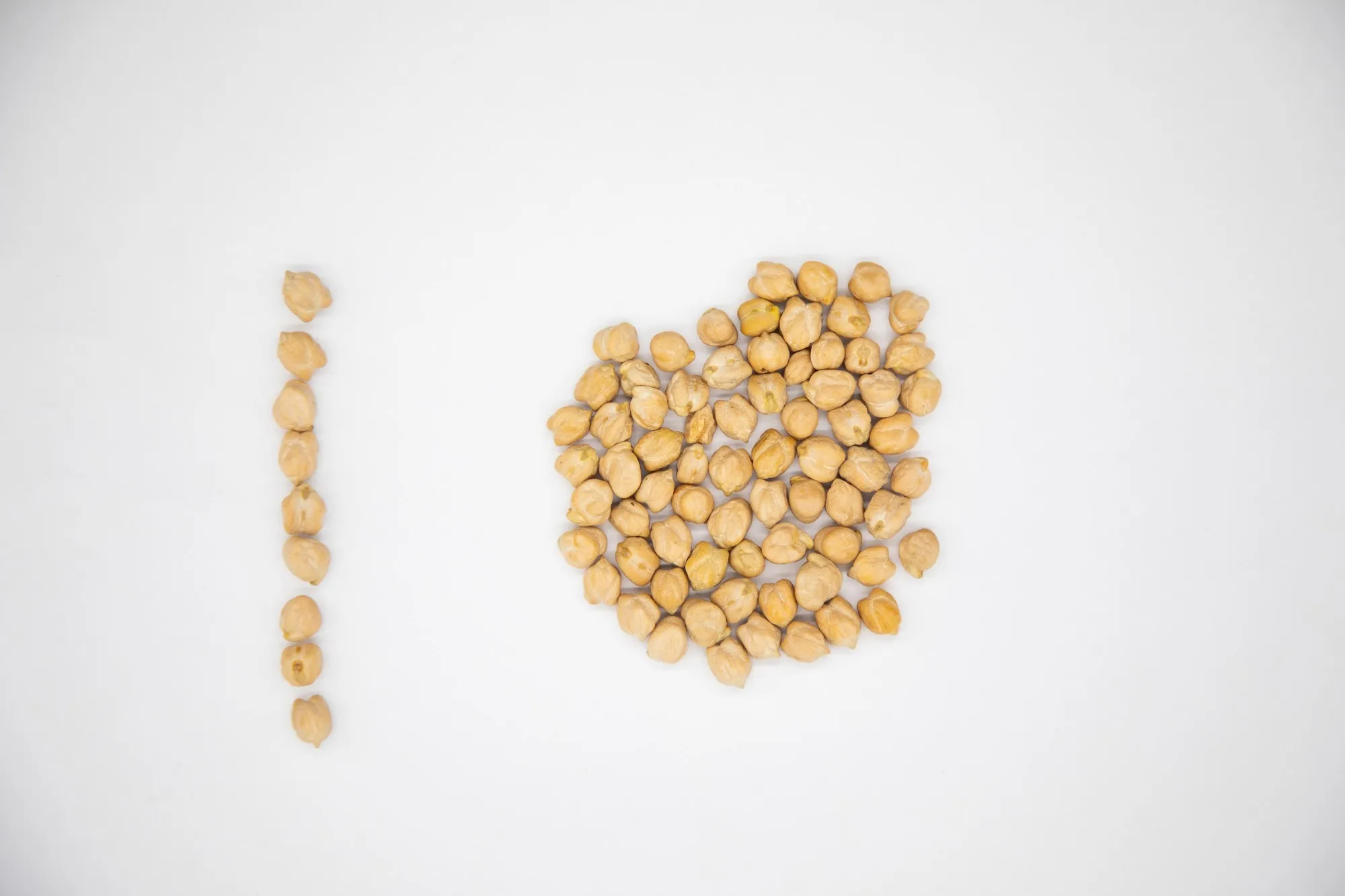 Organic chickpeas 100% natural high grade 6+ 7+ 8+ 9+ caliber chickpea in bulk from Uzbekistan manufacturer