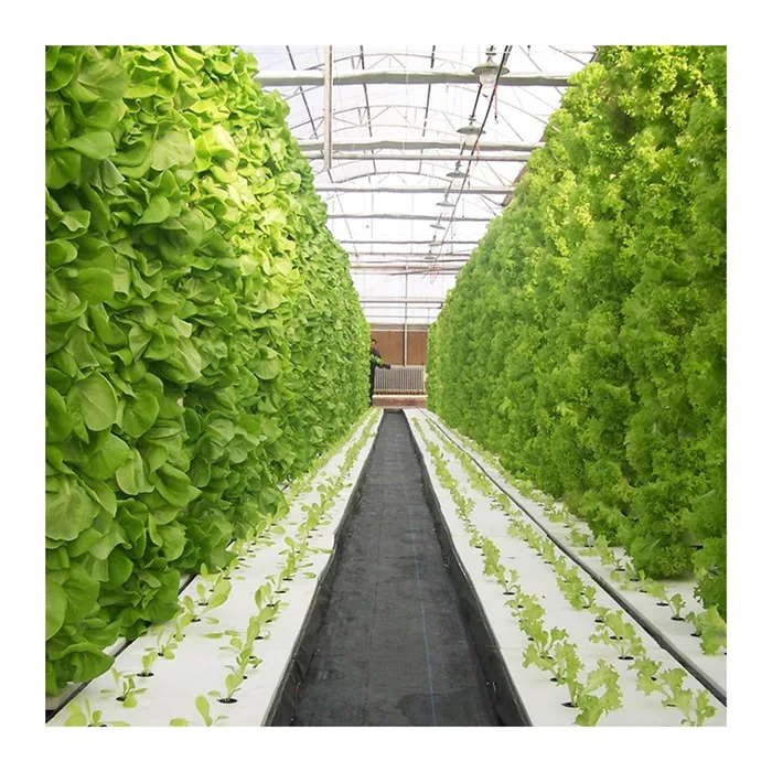
Good price commercial hot galvanized steel frame hydroponic systems greenhouse 