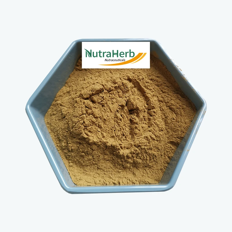 Feed Additive Free Sample Yucca Extract Saponin Yucca Schidigera Yucca Extract