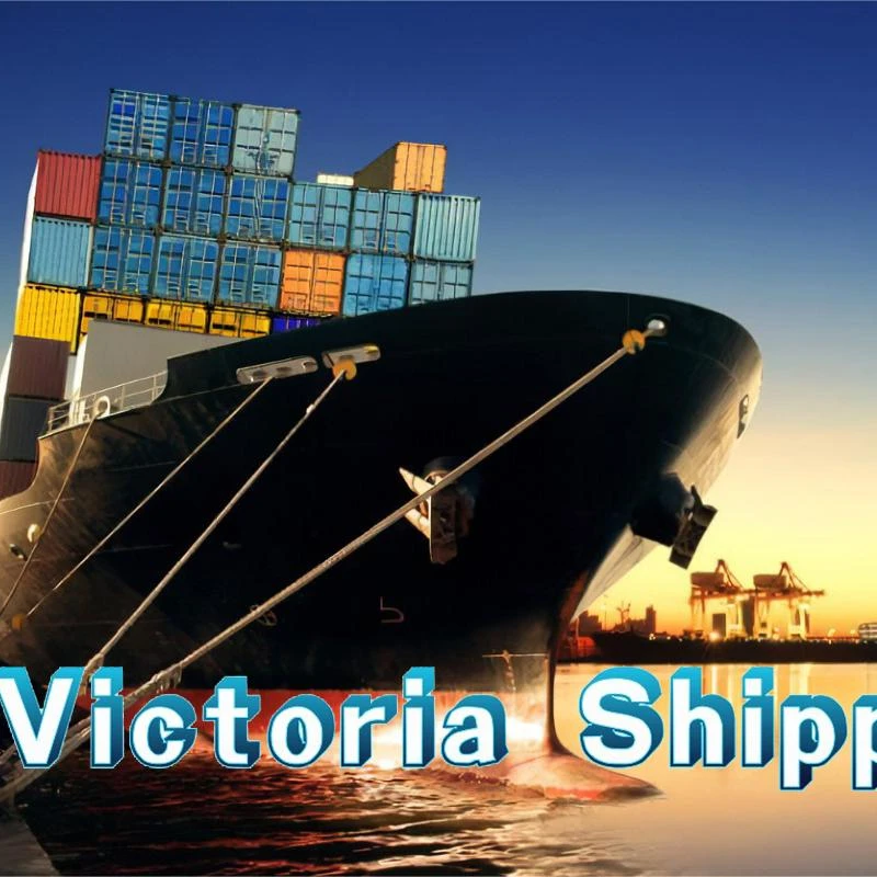 Cheap and international FBA shipping price door to door service from Shenzhen to USA low price with high  quality