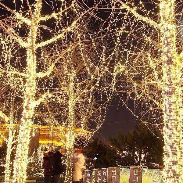 Holiday Wedding Christmas Decoration Waterproof LED Decor Light Garland Outdoor PVC String Lights Christmas lights