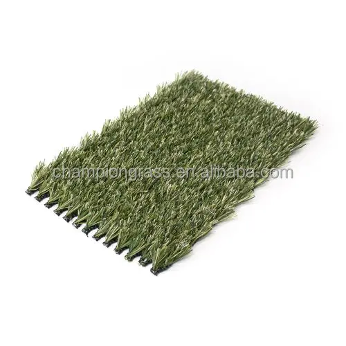 Chinese Factory Direct for Ultimate Landscape Hybrid Grass Innovation