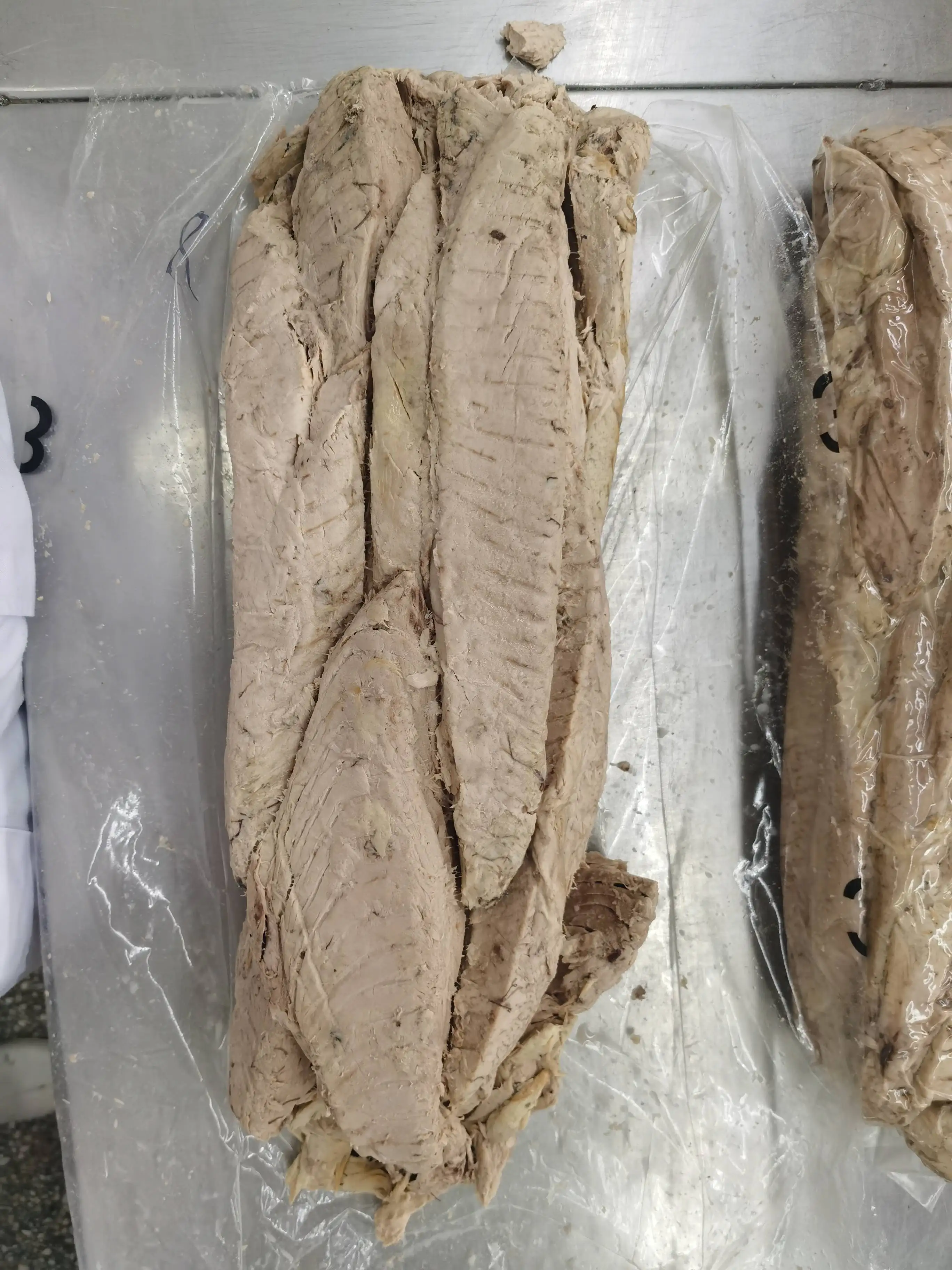 Высокое качество BQF Frozen IQF Fresh Bonito Tuna рыбный кошелек легкий свежий охлажденный желтоперый тунец оптом