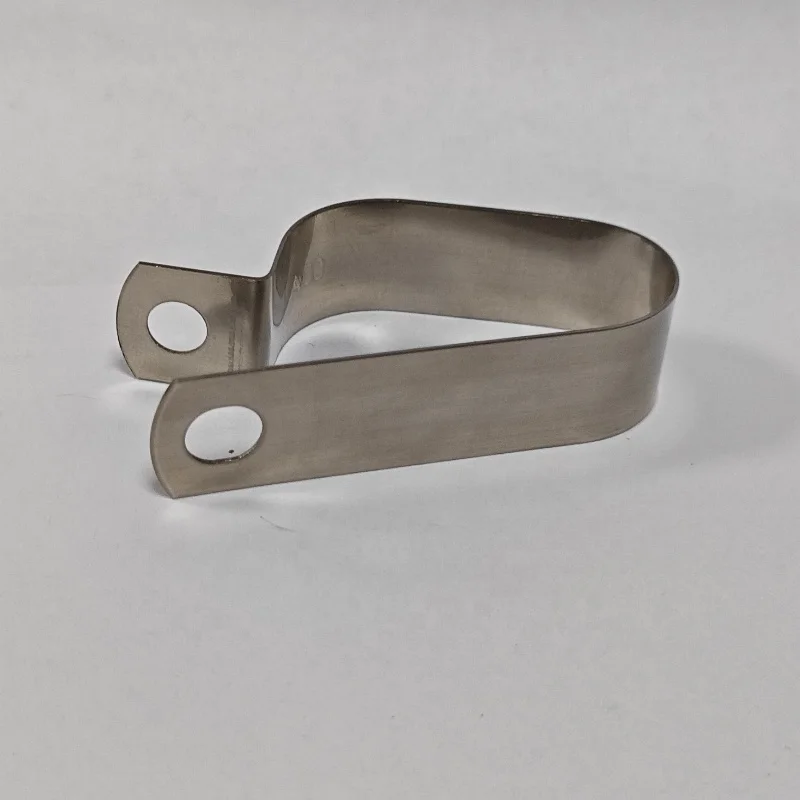 Customized Double P Type Rubber Lined Hose Clamps 304 Stainless Steel P Clamps for 2 Hoses Cables Pipes P Clip Clamp with Rubber