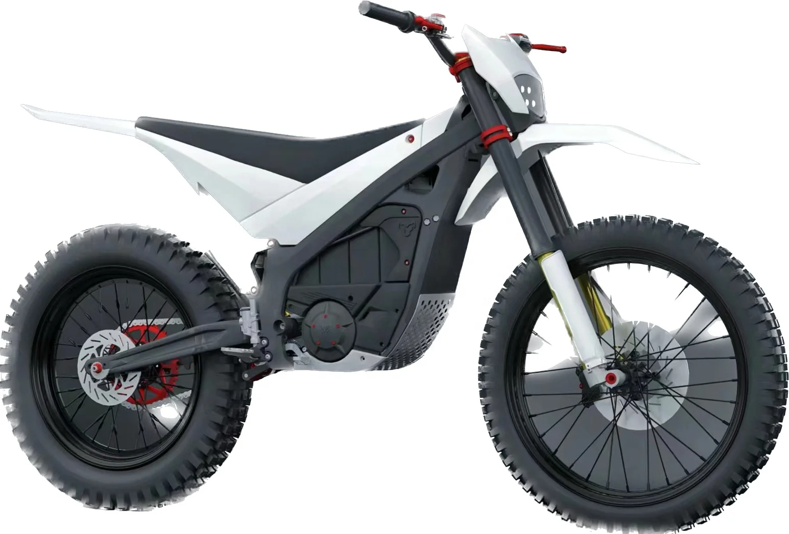 CQHZJ Wholesale Bike Electric Motorcycle Electric Motorcycle Arctic Leopard  Snow Leopard E X 700