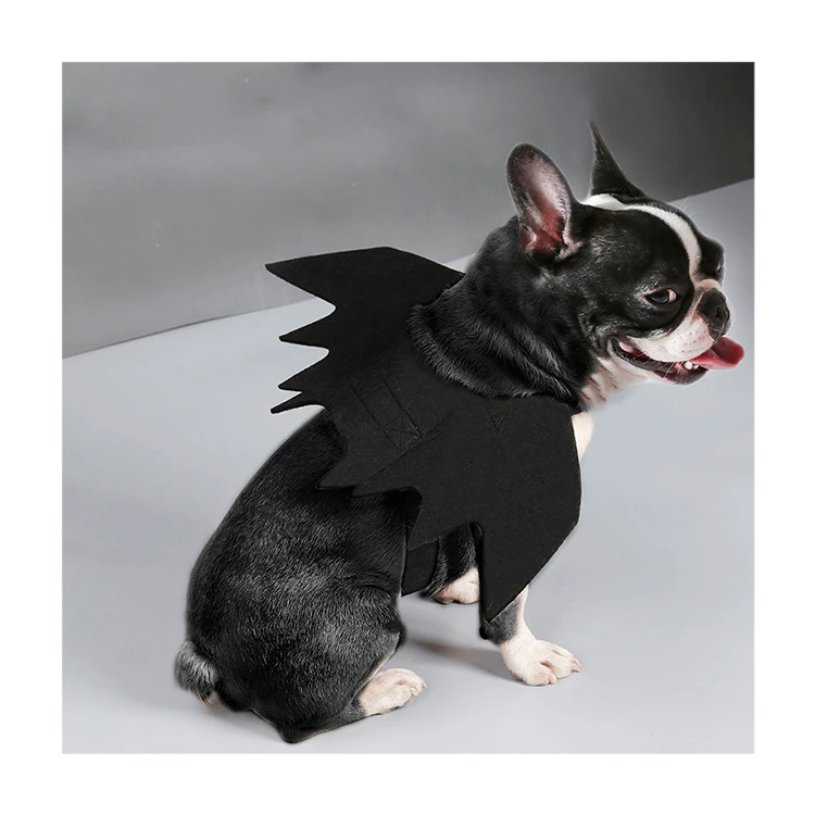 new personality design Hot Sale Halloween Bat Wings Spider Cats Dogs Pet big size Clothes