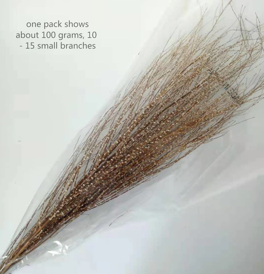 dried natural snow grass flower,natural tree twig for home decoration and floral arrangement