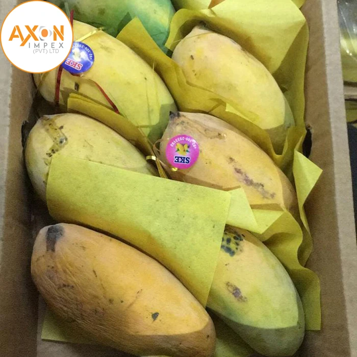 
Full Ripe And Juicy Chaunsa Mangoes From Pakistan/Honey Sweat Mangos 