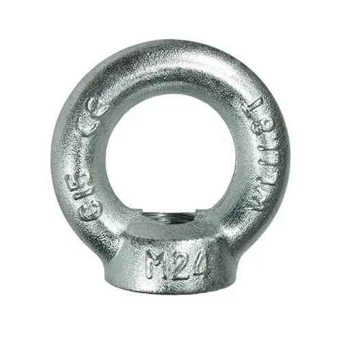 Hot-DIP Galvanized Forged Steel Eyenut  Galvanized Thimble Eye Nut for Linking Pole Line Hardware