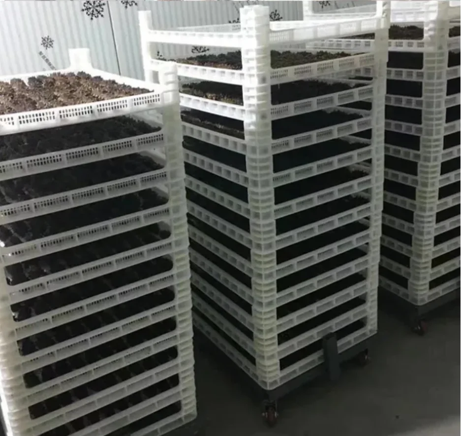 Pe material frozen Tray Colorful Plastic Drying Tray Food Tray Strong and durable