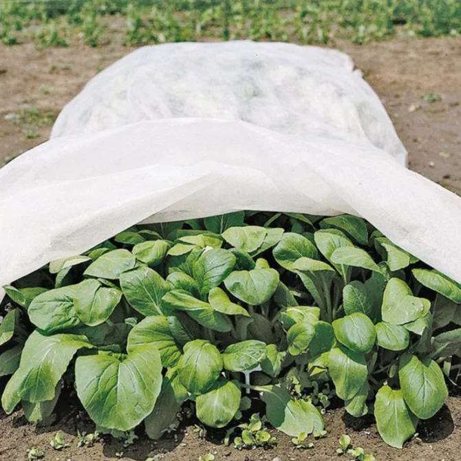 PP agricultural nonwoven fabric anti freeze group cover wholesale bulk anti uv nonwoven fabric