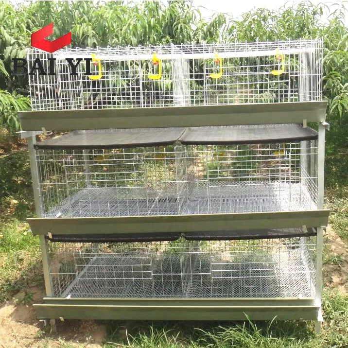 Chicken Farm Equipment Cage for Growing Broiler