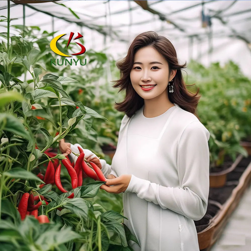 Arch Roof Type Tunnel Polycarbonate Greenhouse for Green Pepper