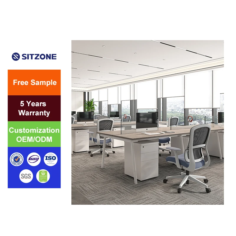 Sitzone New Director High Back Ergonomic Breathable Mesh Office Chair Swivel Office Adjustable Work Staff Chair
