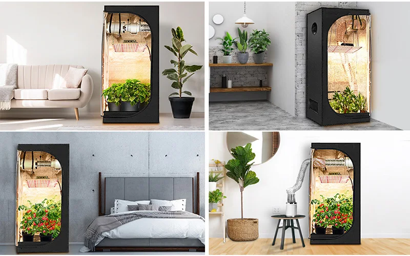 Indoor Complete Hydroponics Grow Tent 80x80x160cm Dark Room Grow Tent For Plants Growing