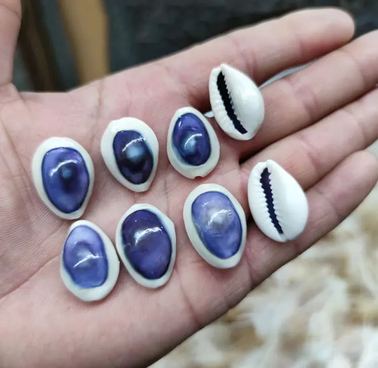 exotic  beauty aquarium beach home decoration Blue-eyed Golden or Apple Snail shell