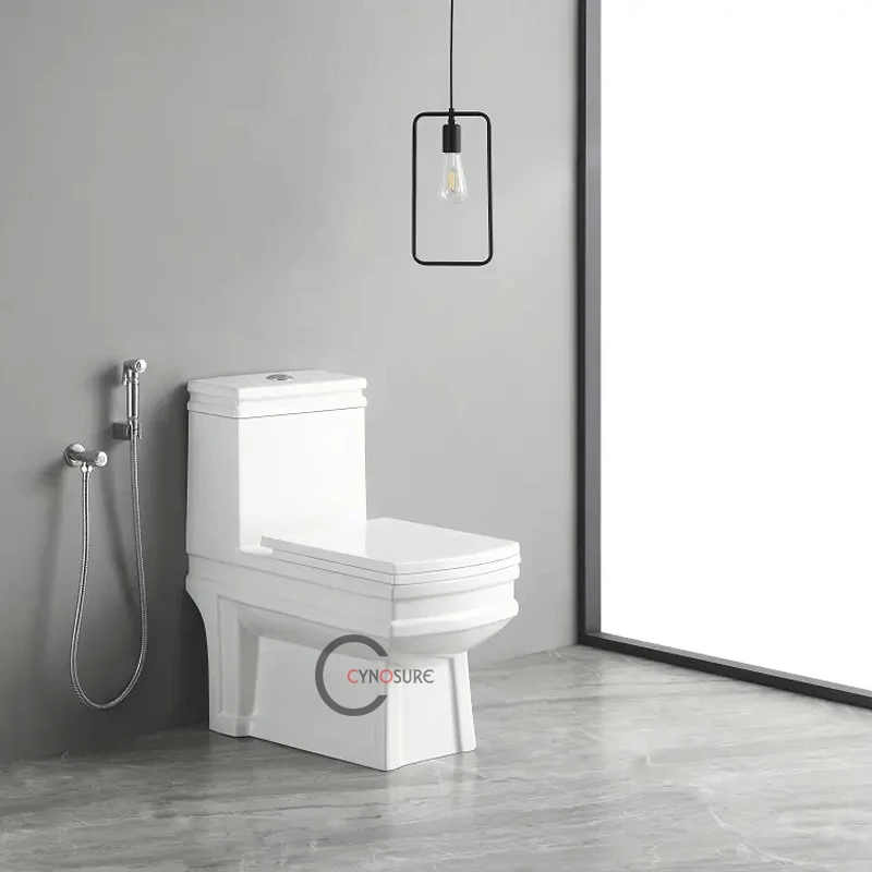 Ceramic Cheap Floor Toilets Prices Bathroom Sanitary Ware Composting One Piece Toilet