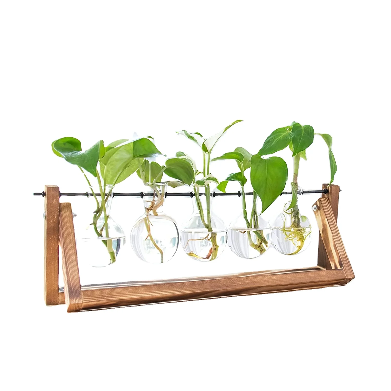 OEM Desktop Glass Bulb Plant Terrarium with Retro Solid Wooden Stand and Metal Swivel Holder for Home Garden Wedding Decor