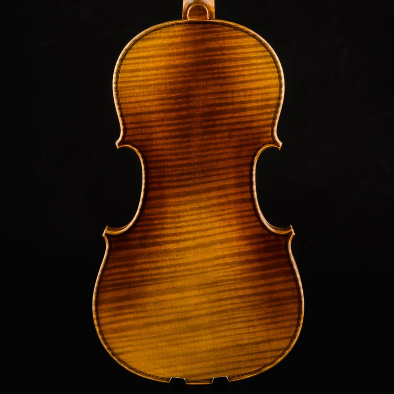 CHRISTINA Violin S500B  Best Brand Performing prices Free case string bow