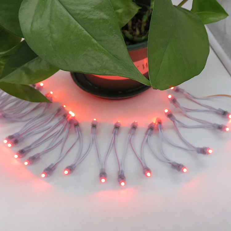 Outdoor Waterproof Advertisement 9mm Led Pixel Light 12v