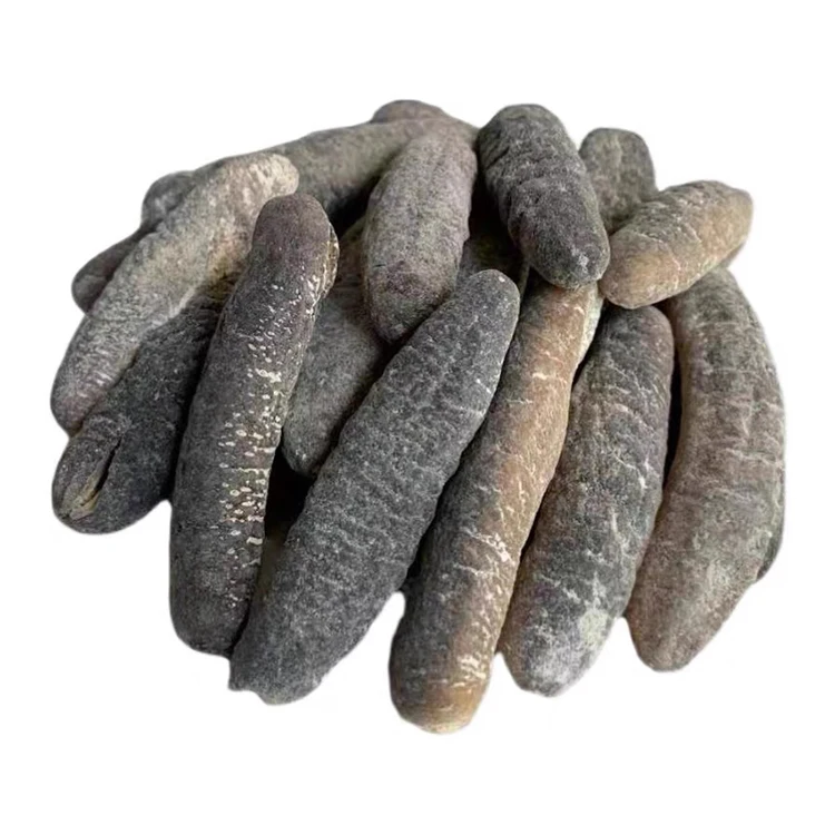 Wholesale Bald Tubular Sea Cucumber Black Dryer Dried Australia Sand Fish Sea Cucumber For Export
