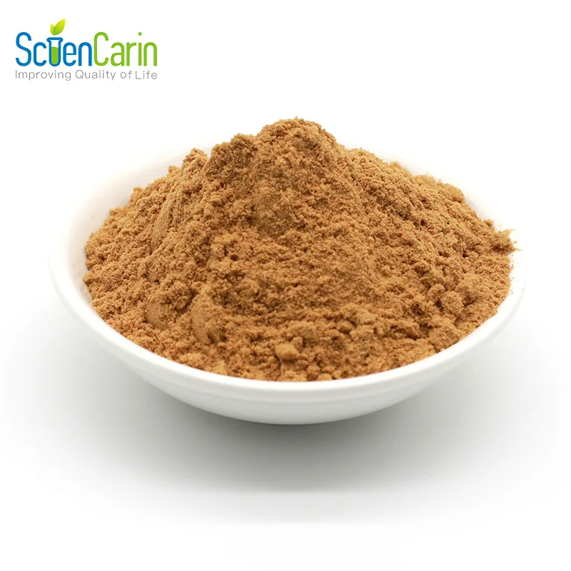 Professional Factory Natural Botanical Supplement Ingredient Coriolus Versicolor Extract Powder