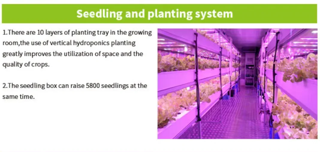 Smart Farming System Dragon Fruit Seed Plant Grow Cabinet Rain Gutter System