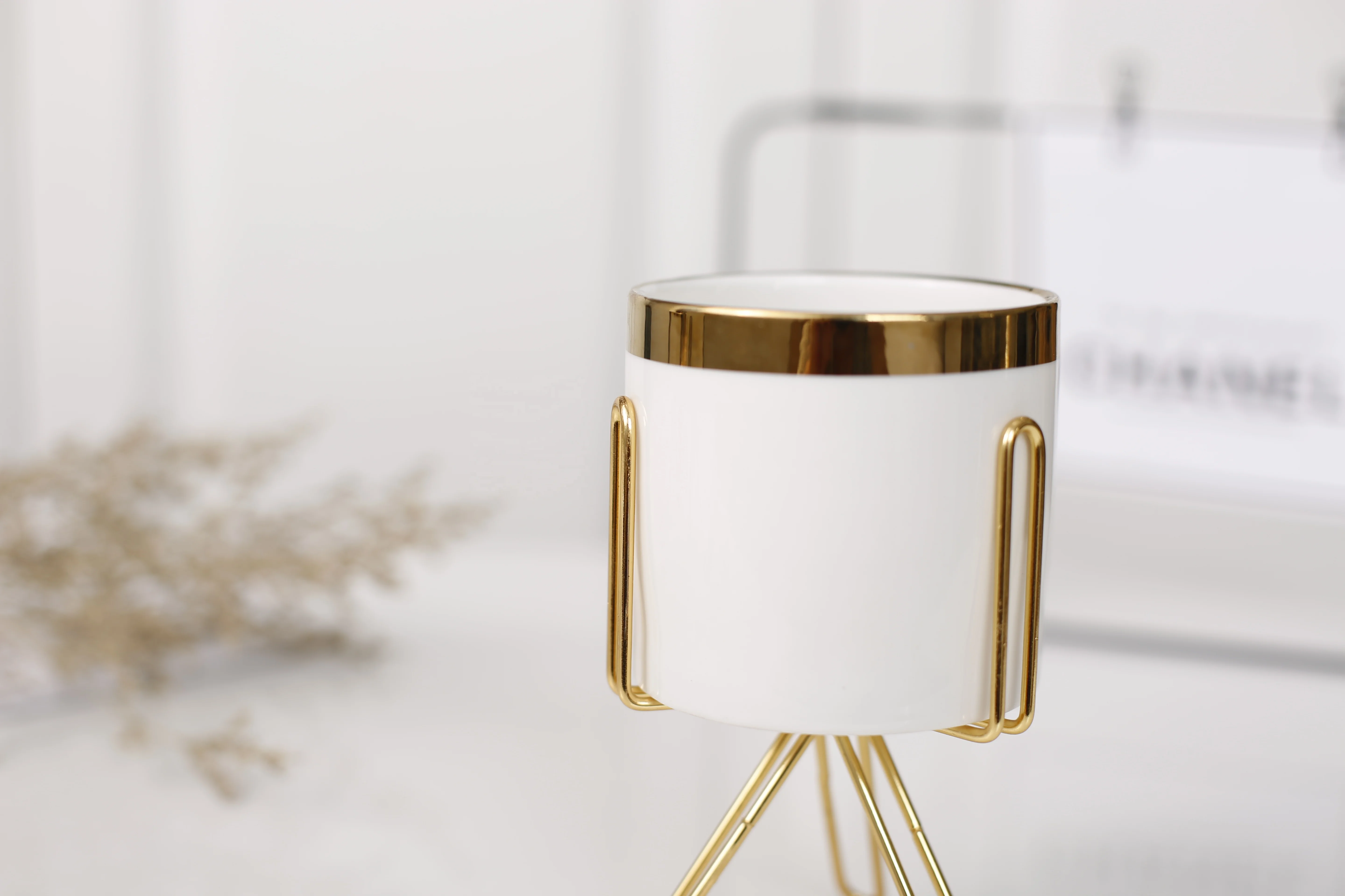 
Nordic ins ceramic iron home office pot with golden edge/simulated fleshy flower pot(white) 