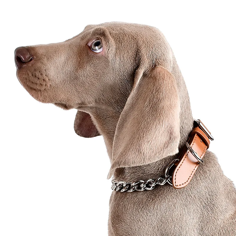 Manufacturers Metal Silver Heavy Duty Bungee Pet Leads Elastic Braided Leather Spiked Large Dog Leash Collar