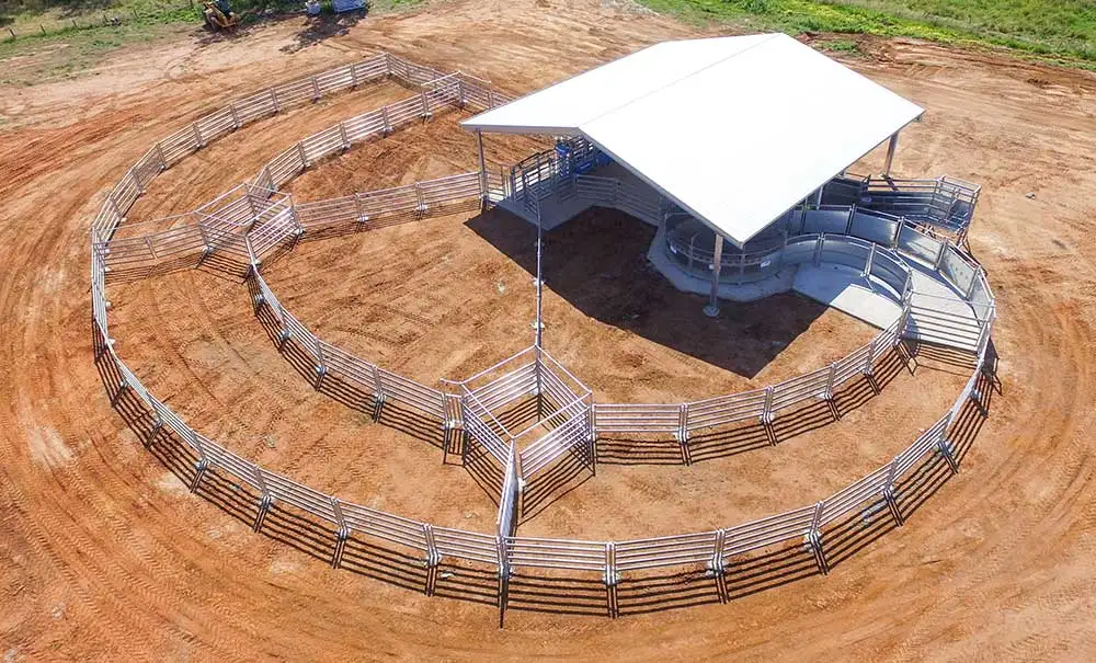 cattle corral panel (32)