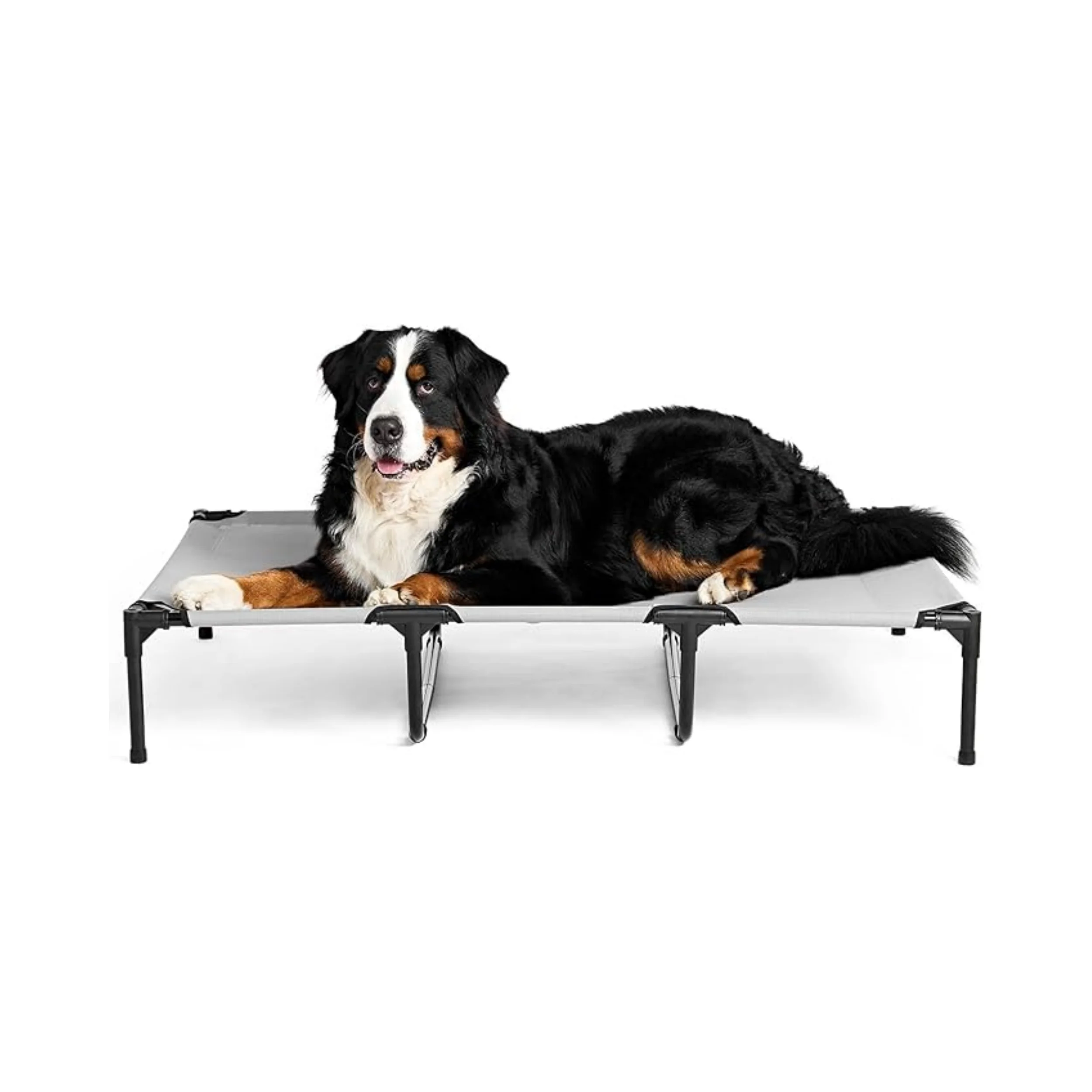 Luxury Polyester Elevated Pet Bed Cover 2024 Wicker Dog Bed with Hanging Car Box Solid Pattern Pet Bed Met Accessories