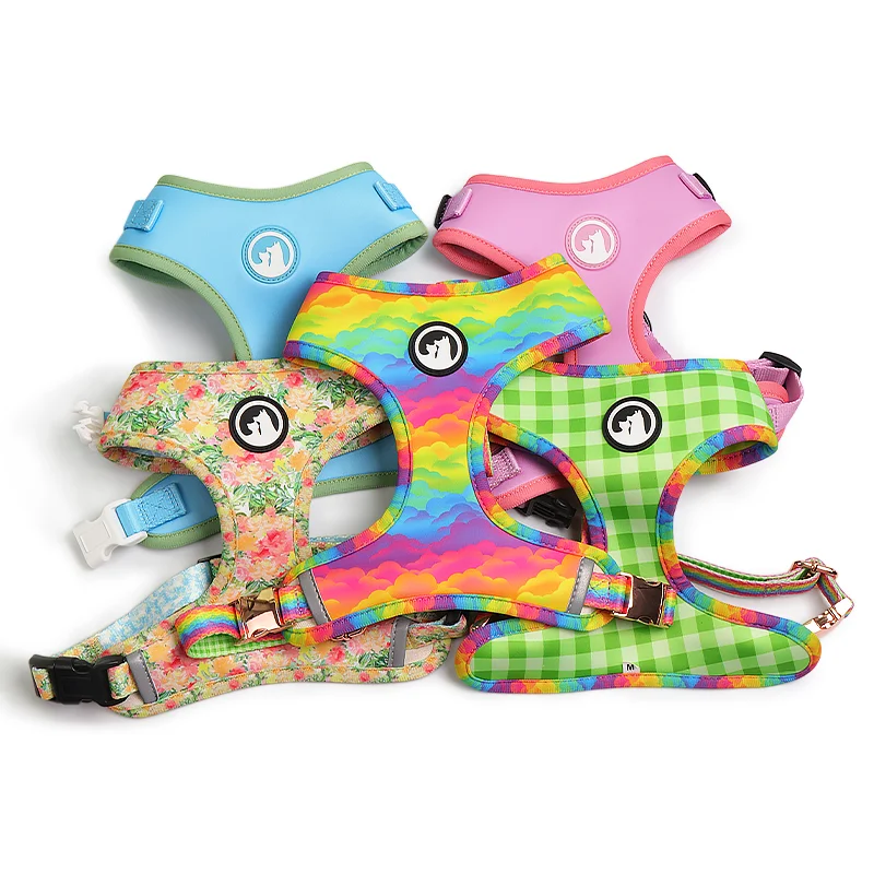 2022, мягкий красочный популярный индивидуальный комплект жгутов для собак, роскошный сетчатый двусторонний ошейник для собак с принтом, Набор сумок для уборки за собакой