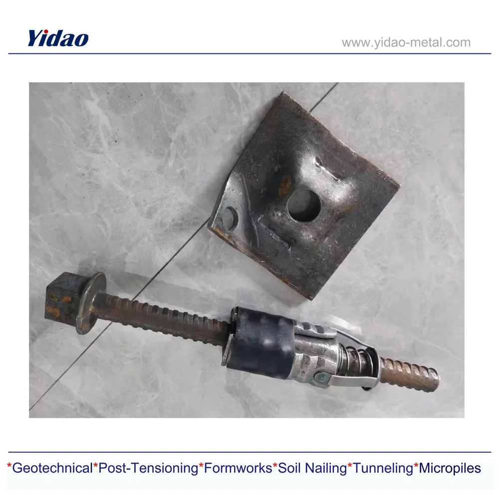 Accessories Plate and Nut of Rock Bolt for Solid