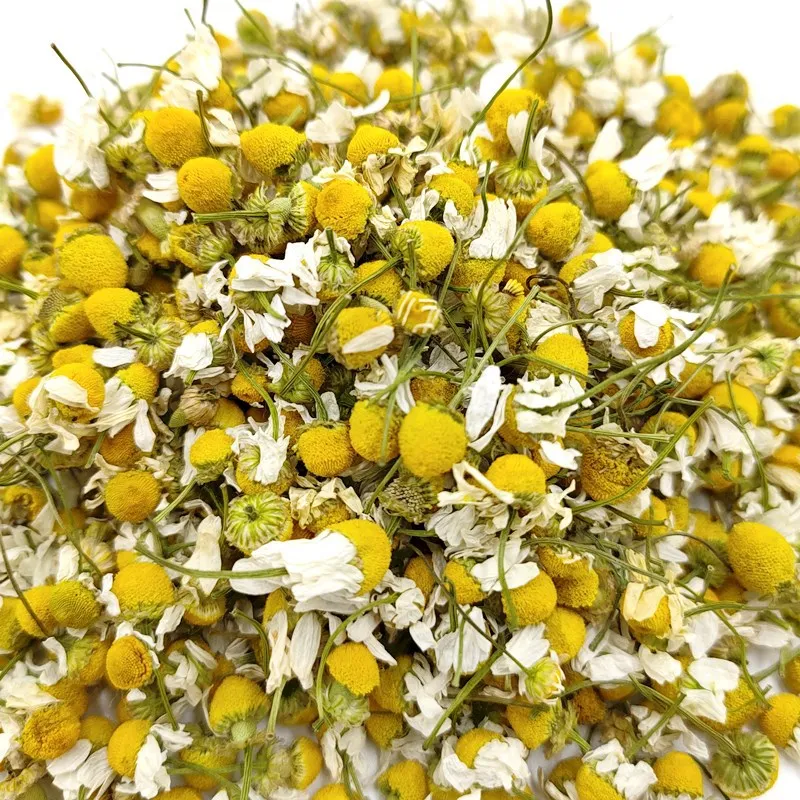 Hot Selling High natural organic fetal chrysanthemum camomile flower tea