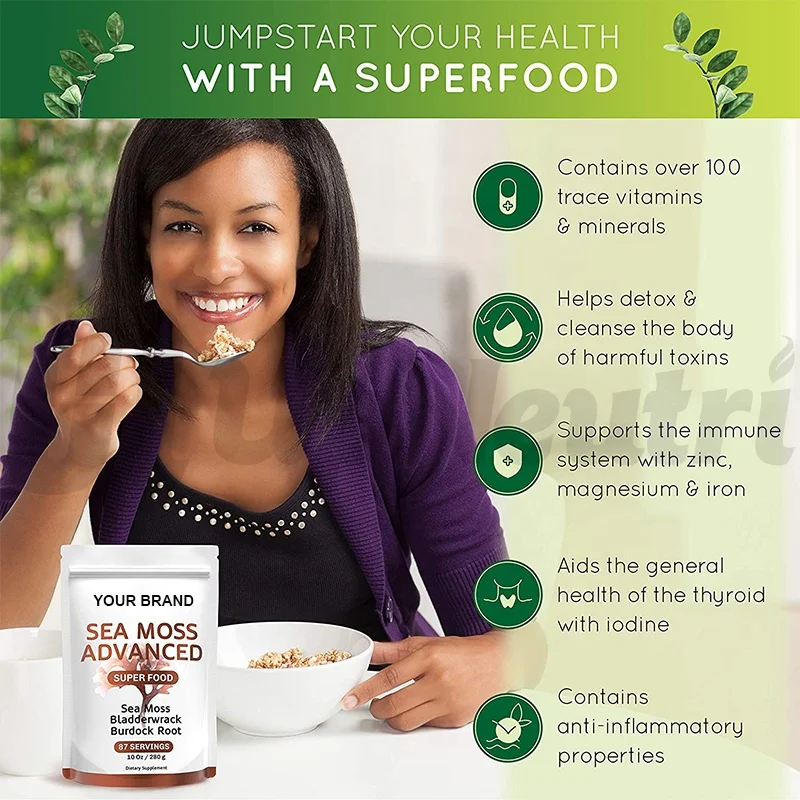 High Quality Organic Irish Sea Moss Burdock Root Powder with Private Label for Thyroid and Immune