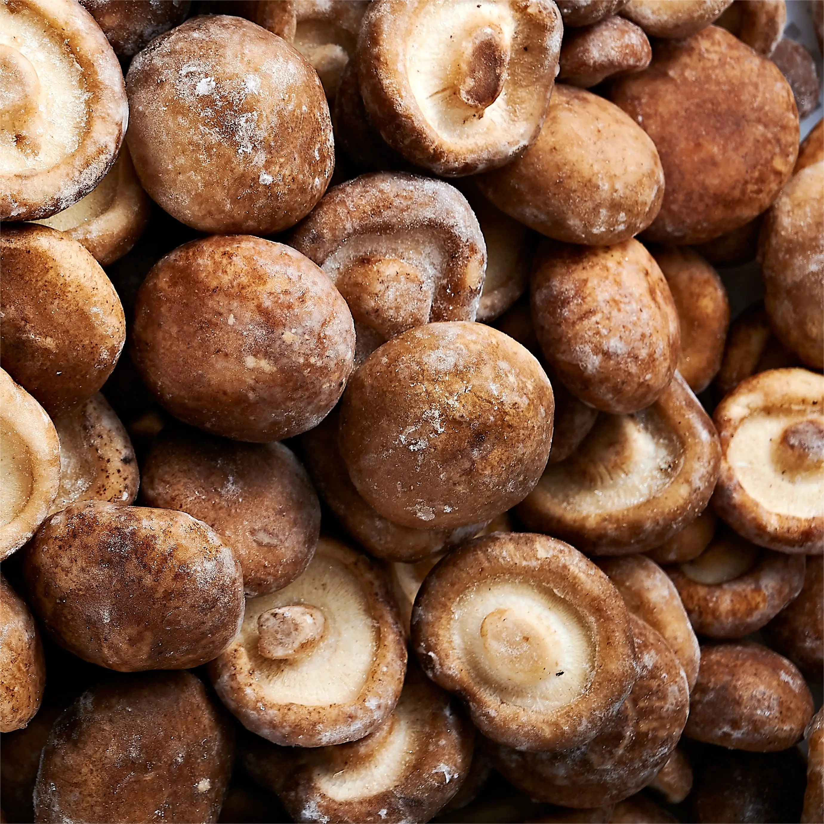 factory direct export of frozen shiitake mushroom wholesale frozen  shiitake mushroom