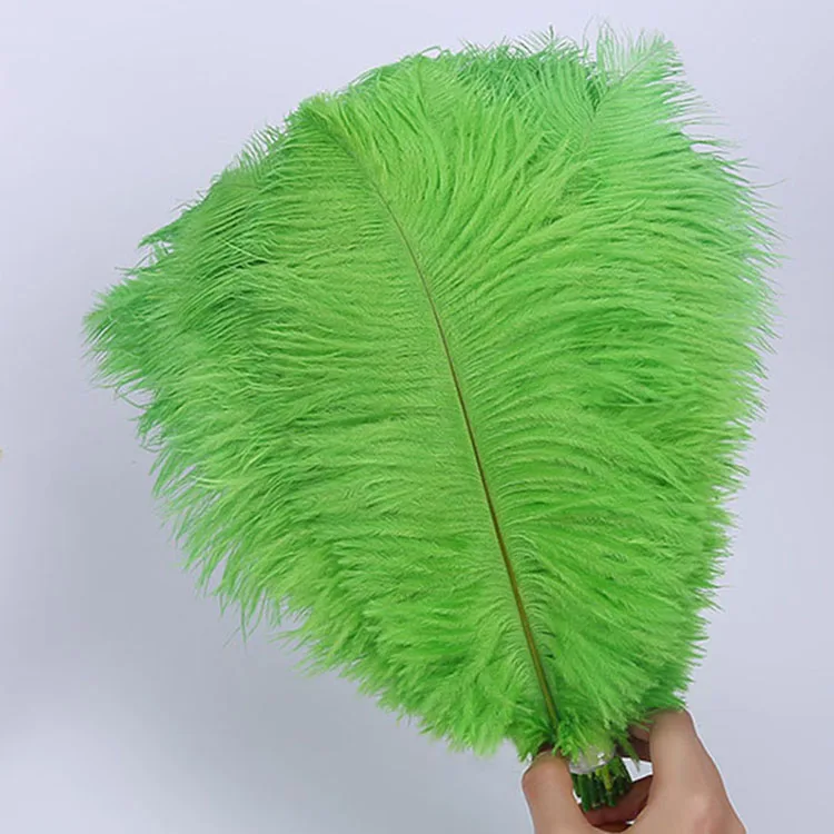 
35-40cm Natural Ostrich Feathers color feather decoration 