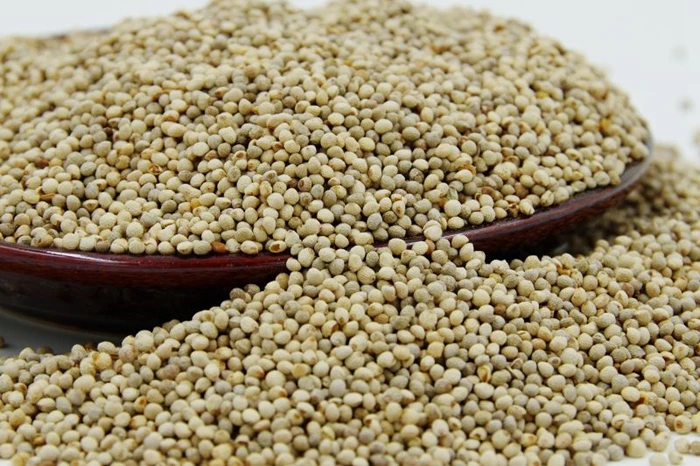 
High quality perilla seeds for oil seeds for bird 