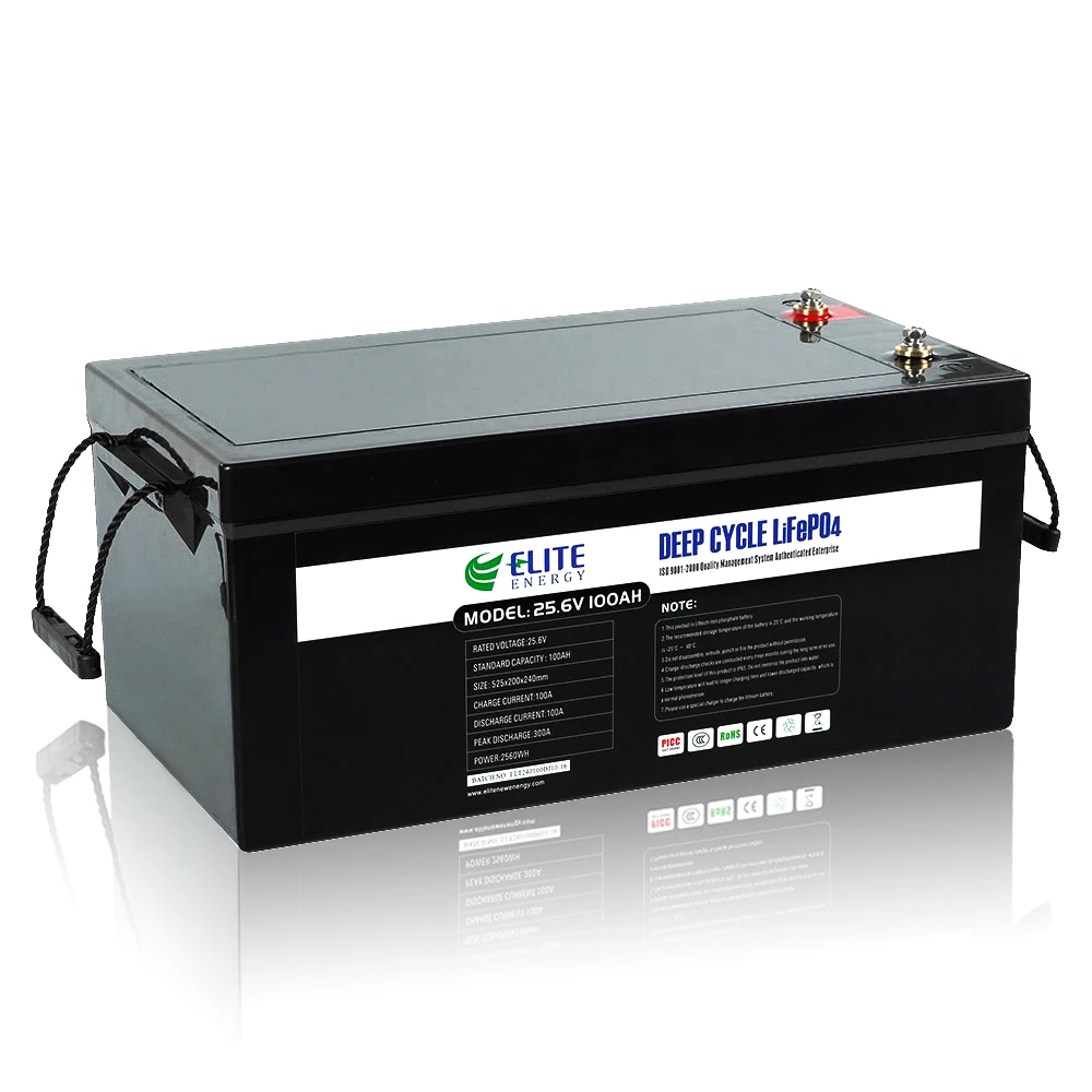 Elite 24V LiFePO4 Batteries Pack 25.6V 100Ah 200Ah Lithium Iron Phosphate Battery Solar Energy Storage Li-ion Battery