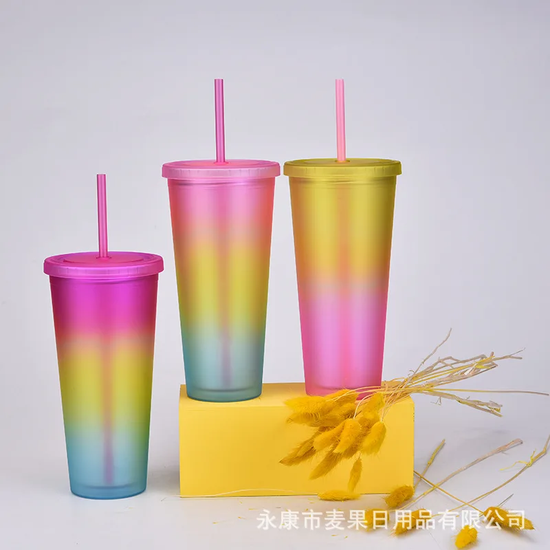 16oz Acrylic Tumbler Plastic Cups In Stock Water Bottle Double Wall Coffee Mug With Straw Bpa Free