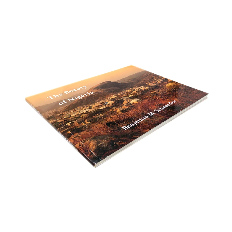 Custom Full Color Hardcover Softcover Book Printing Service Photography Graphic Books Paperback Photo Art Book